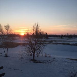 Meet your Posher, Ella